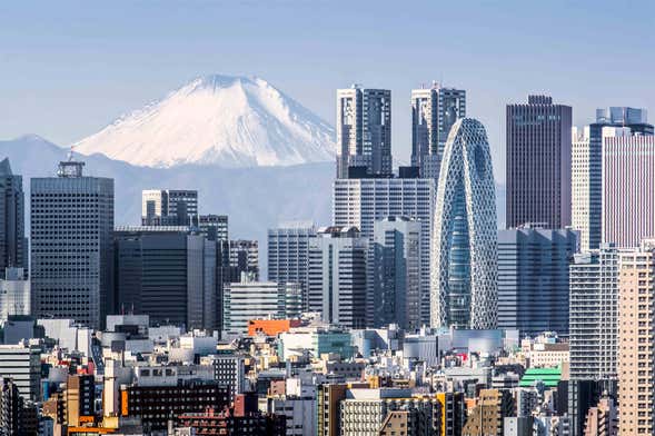 Tour de 9 días por Japón