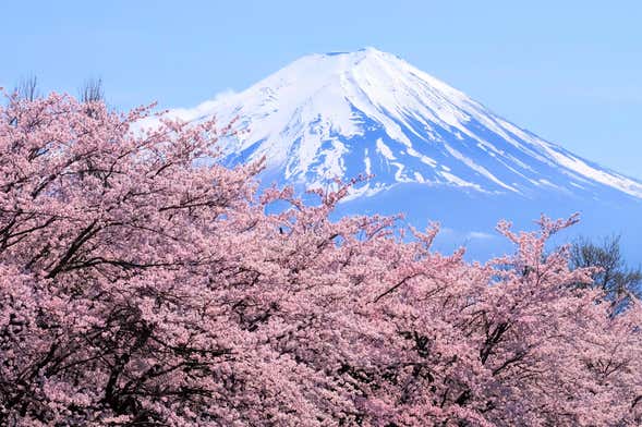 Excursión al monte Fuji y el lago Ashi