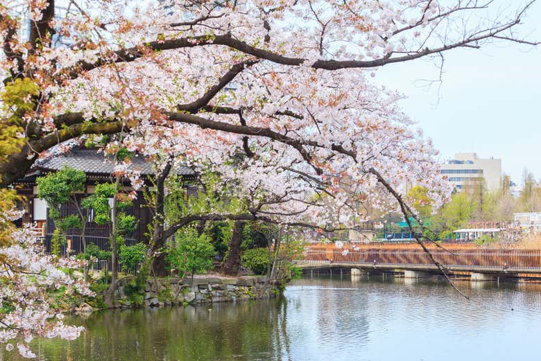 Parque Ueno