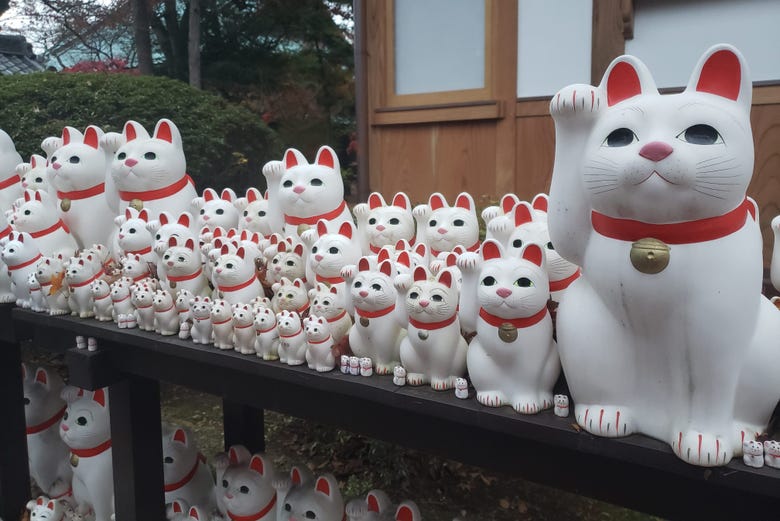 Tour de los gatos por Tokio