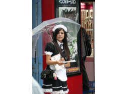 Maid Cafe Akihabara, chica repartiendo publicidad