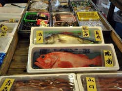 Mercado de Pescado de Tokio