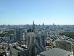 Metropolitan Government Building, Observatorio
