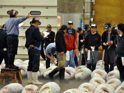 Mercado de Tsukiji, subasta de atunes