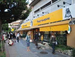 Tienda de alquiler de perros