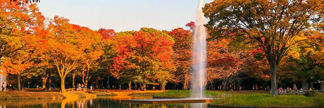 Parque Yoyogi