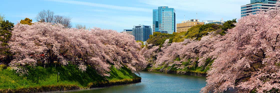 Tiempo en Tokio